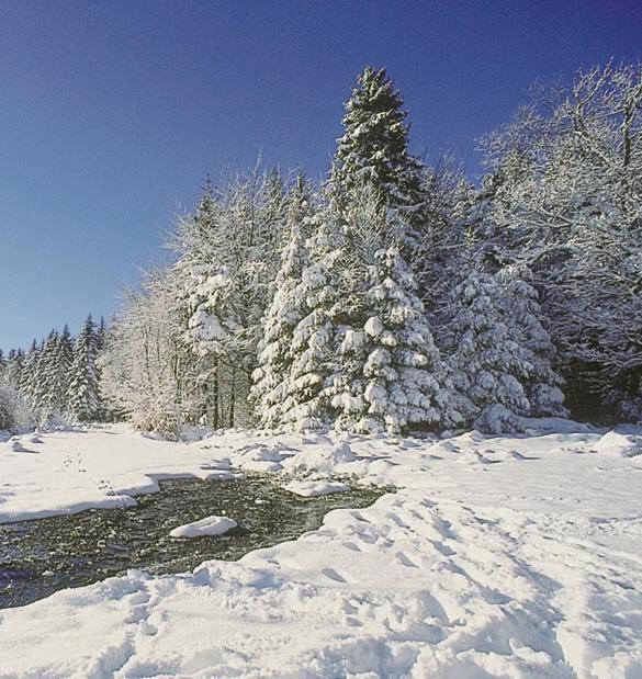 Vakantiepark Wilhelm Tell Superieur Chalet Opglabbeek Εξωτερικό φωτογραφία